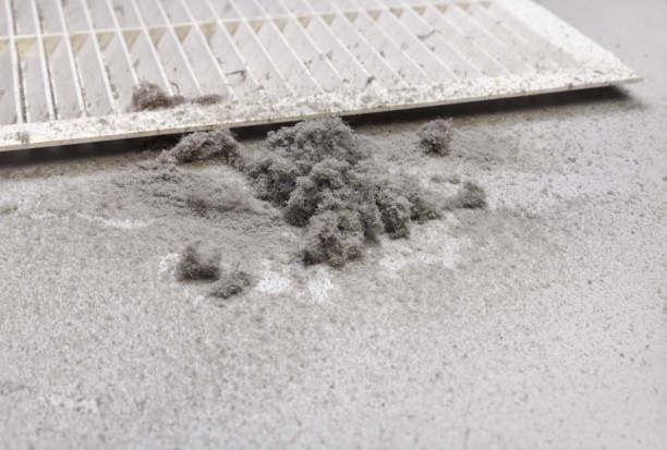Best Air Duct Cleaning Company Near Me  in Forest Hills, PA