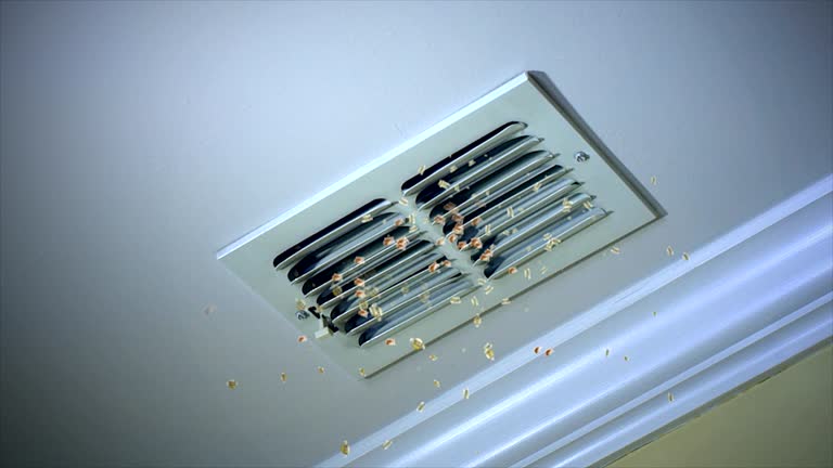 Best Affordable Air Duct Cleaning  in Forest Hills, PA